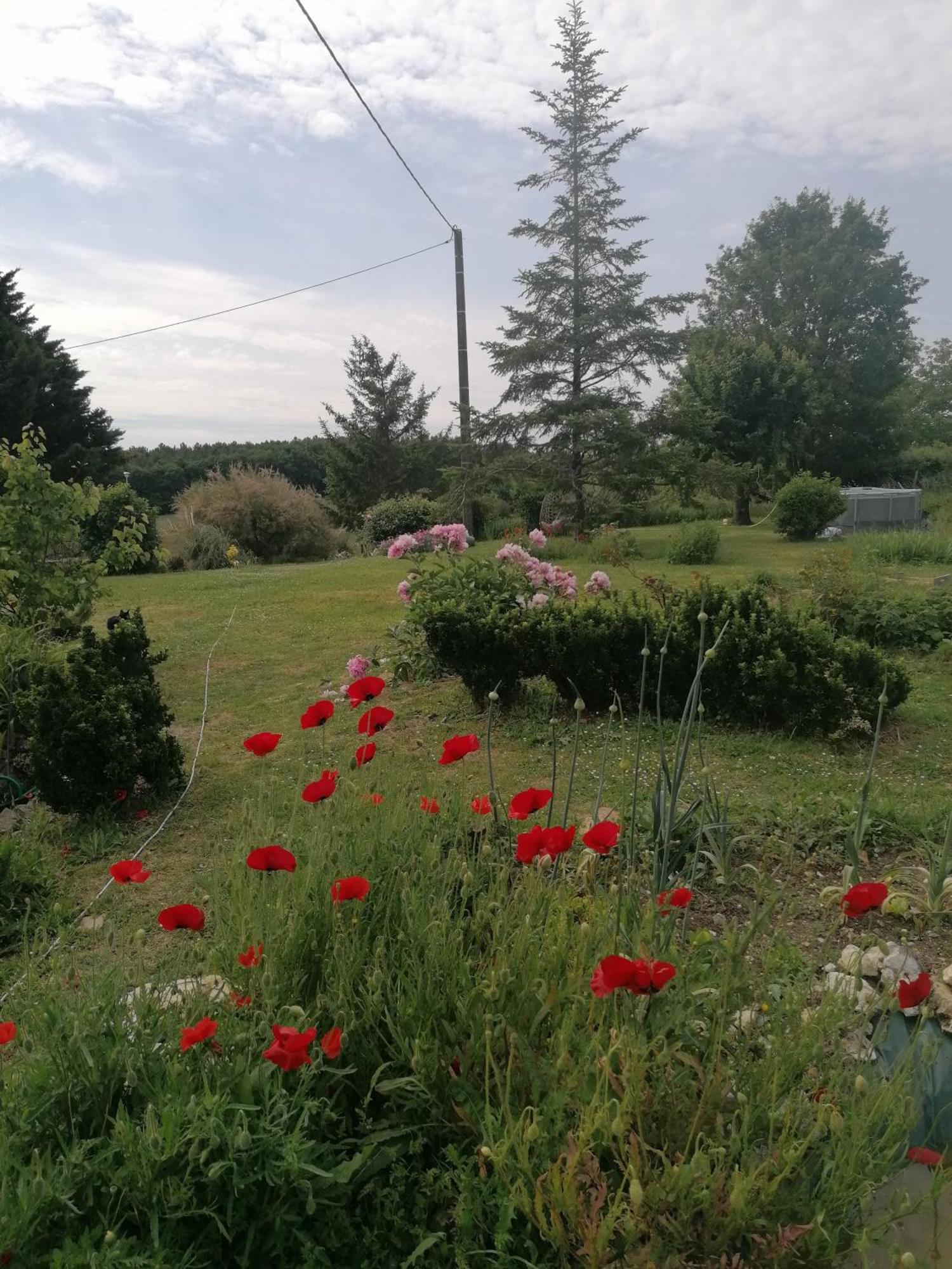 Gite 4 Pers, Jacuzzi, Piscine, Proche Futuroscope, Calme Et Nature A La Roche Posay La Roche-Posay Eksteriør billede