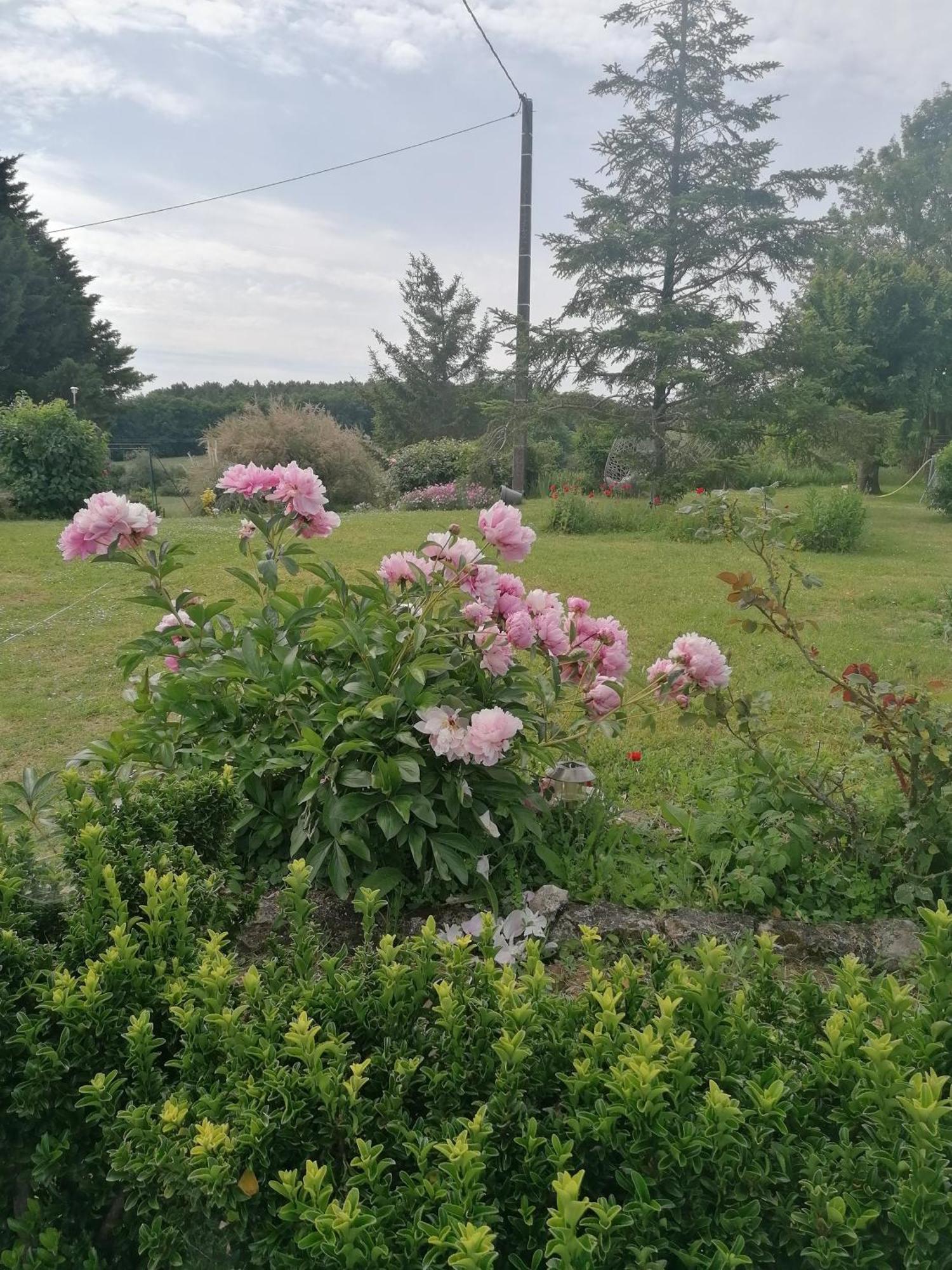 Gite 4 Pers, Jacuzzi, Piscine, Proche Futuroscope, Calme Et Nature A La Roche Posay La Roche-Posay Eksteriør billede
