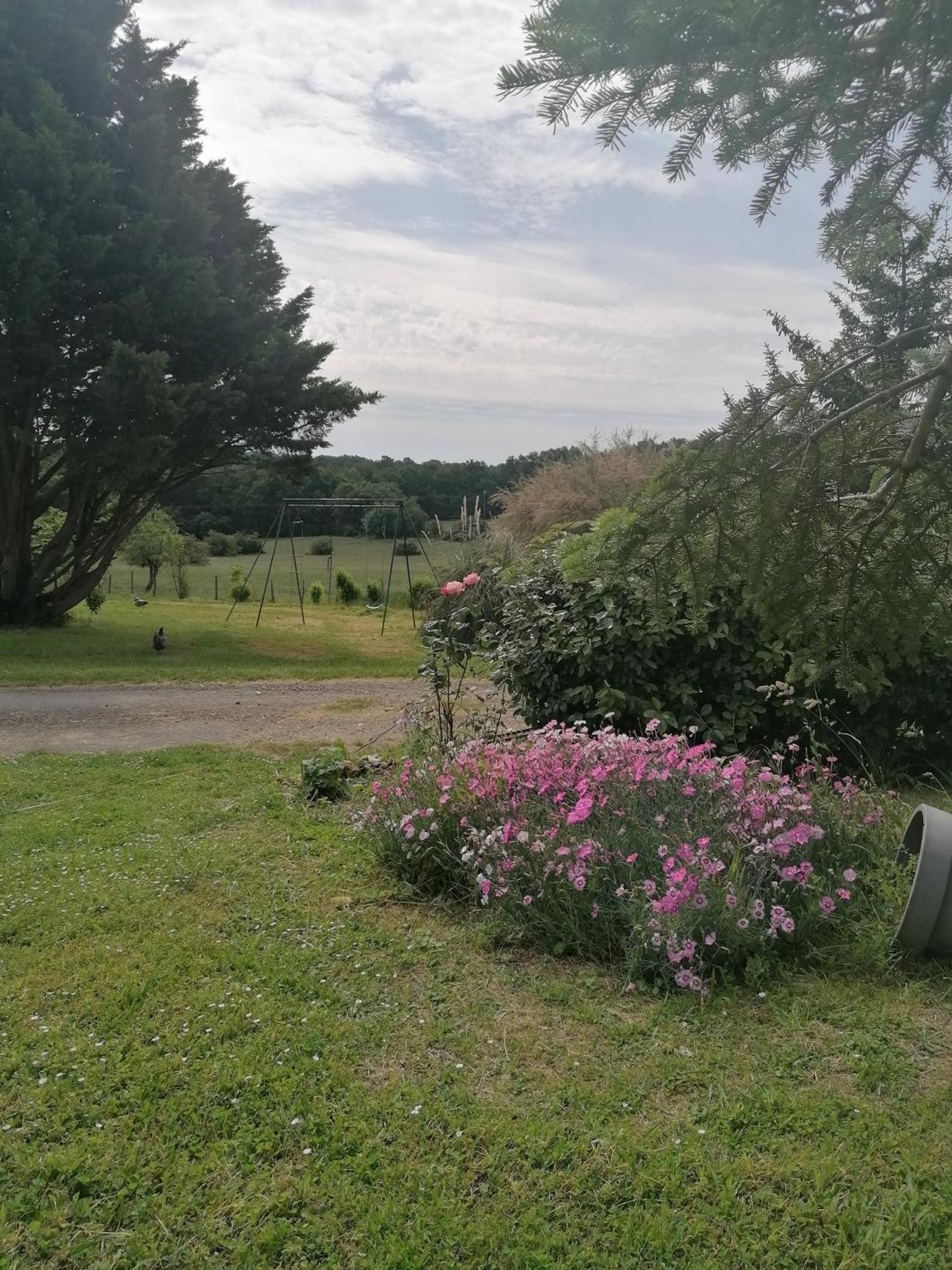 Gite 4 Pers, Jacuzzi, Piscine, Proche Futuroscope, Calme Et Nature A La Roche Posay La Roche-Posay Eksteriør billede