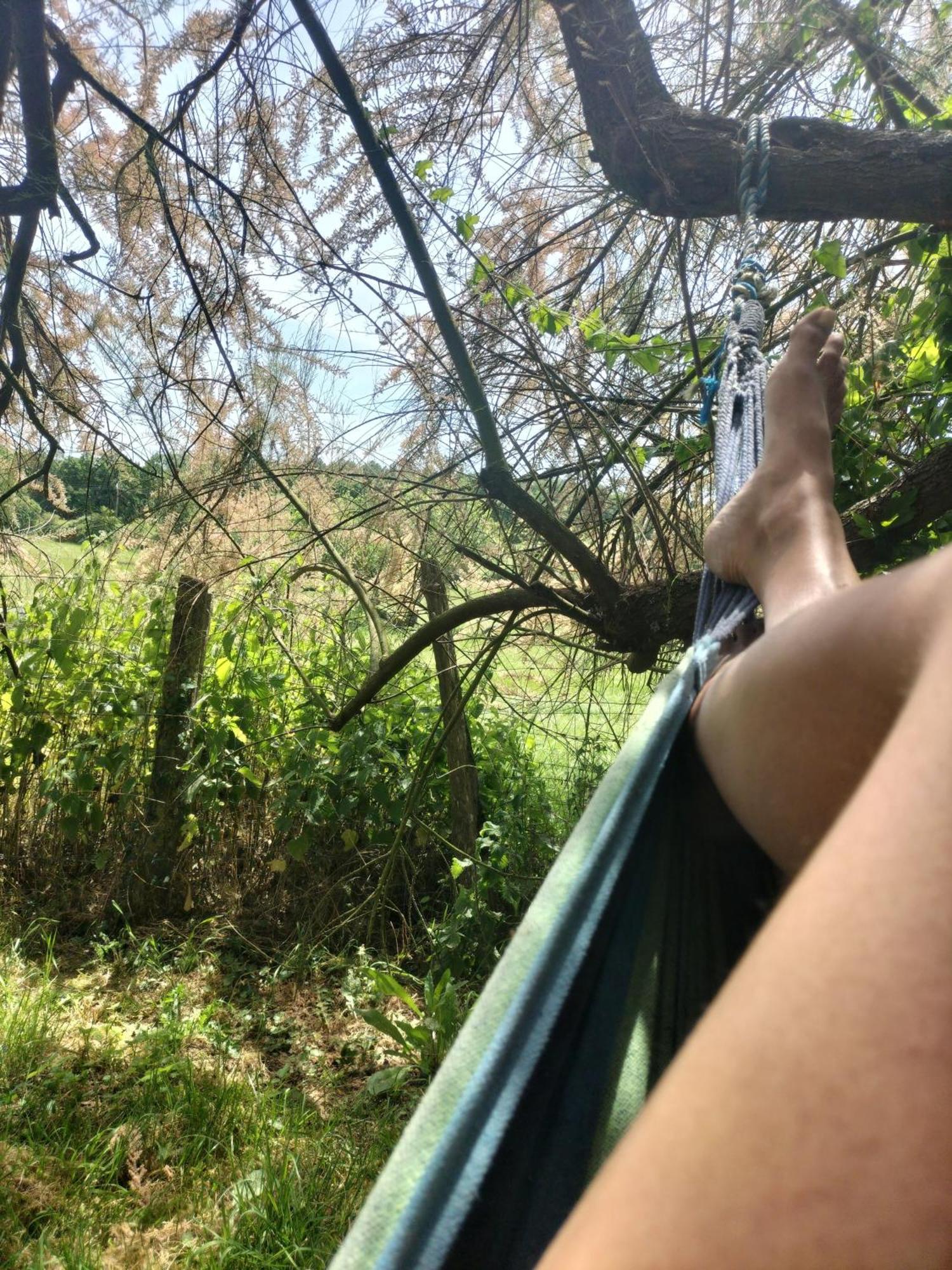 Gite 4 Pers, Jacuzzi, Piscine, Proche Futuroscope, Calme Et Nature A La Roche Posay La Roche-Posay Eksteriør billede